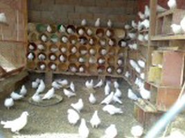 :	_____001 [320x200].jpg
: 162
:	18.4 