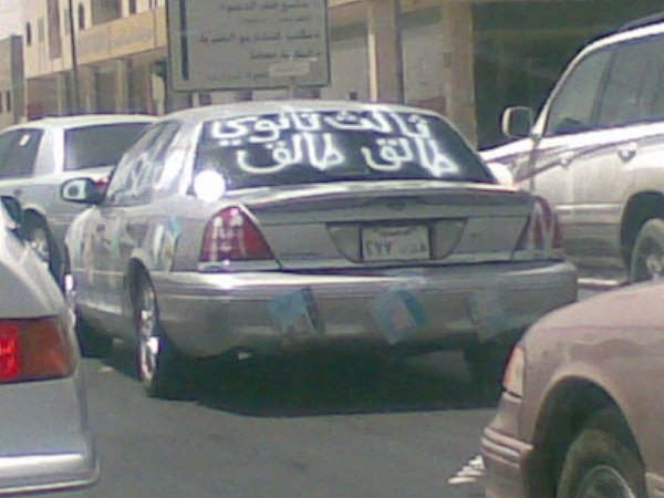 :	qwN48051.jpg
: 131
:	31.2 