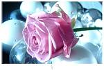 :	77b2db89010d71c0d5b10536359e3aff_17036.jpg
: 59
:	5.2 