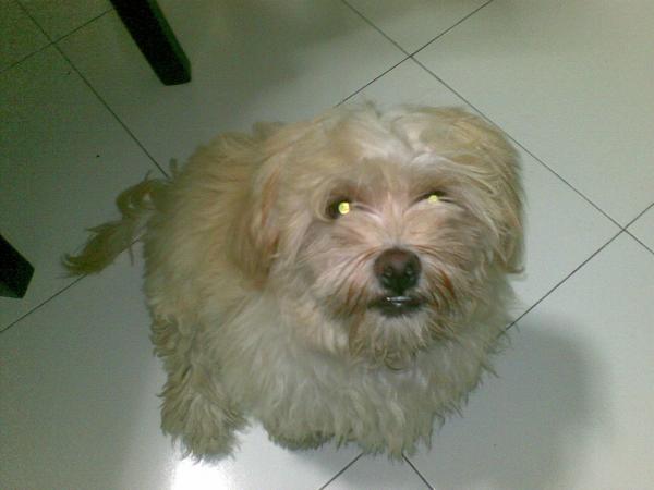 :	٠٤٠٨٢٠٠٨.jpg
: 115
:	25.8 