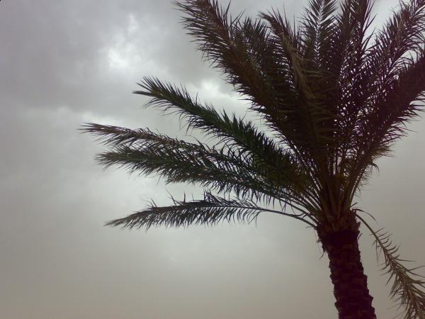 :	Mashel٩٠١.jpg
: 264
:	41.8 