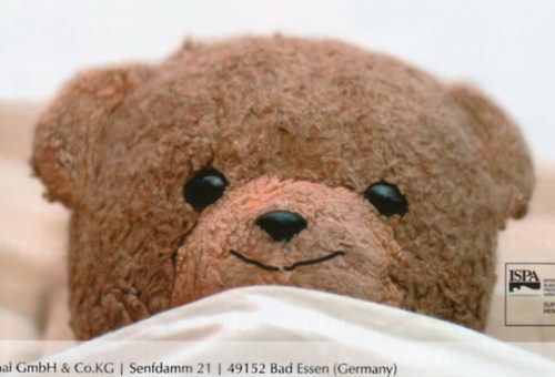 :	showImage.jpg
: 186
:	36.6 