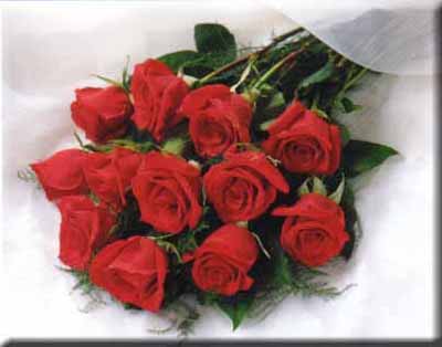 :	%20%20~1.JPG
: 111
:	16.3 