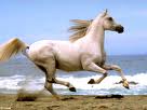 :	KCK5CANZ4PS5CAEAQGVWCAF97I61CA139OYGCA0DC05SCA9QD0MUCALFMI4XCAHSZP68CA3L6X98CABWY8EOCAJTD5XJCA84.jpg
: 202
:	3.0 