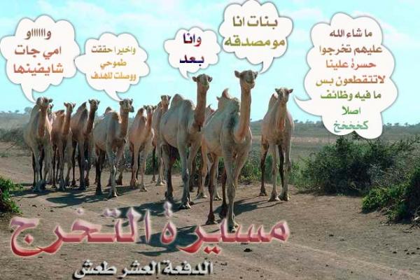 الاسم:	,,,,,,,,,,,,,.jpg
المشاهدات: 265
الحجم:	47.8 كيلوبايت