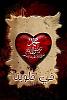 الصورة الرمزية اسيرة كلمتي