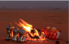 الصورة الرمزية مشاري العتيبي